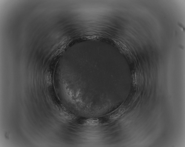 X0000091330606200708241202