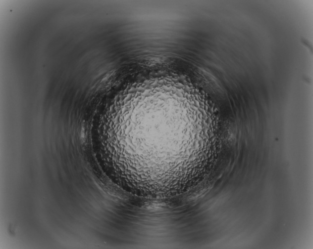 X0000091330607200708241202