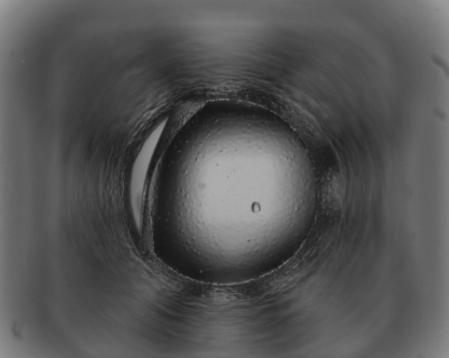 X0000091330608200708241202