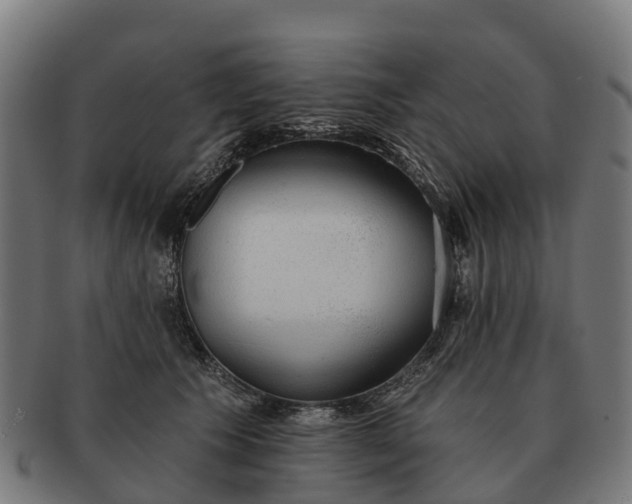 X0000091330609200708241202