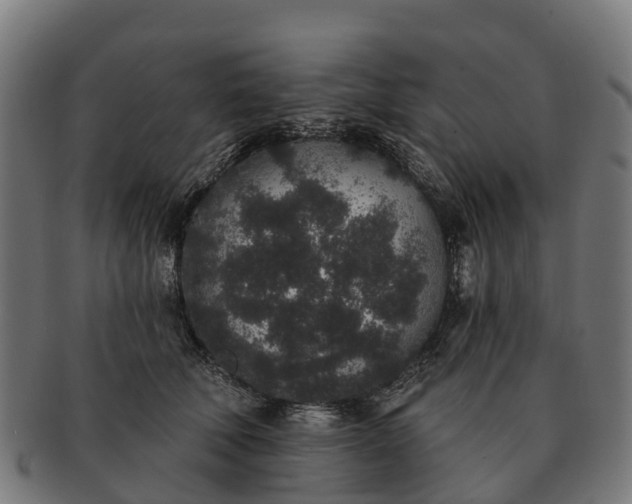 X0000091330610200708241202