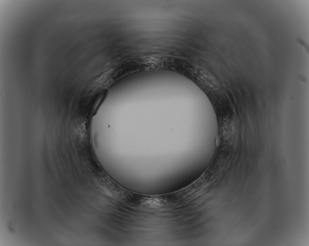 X0000091330611200708241202