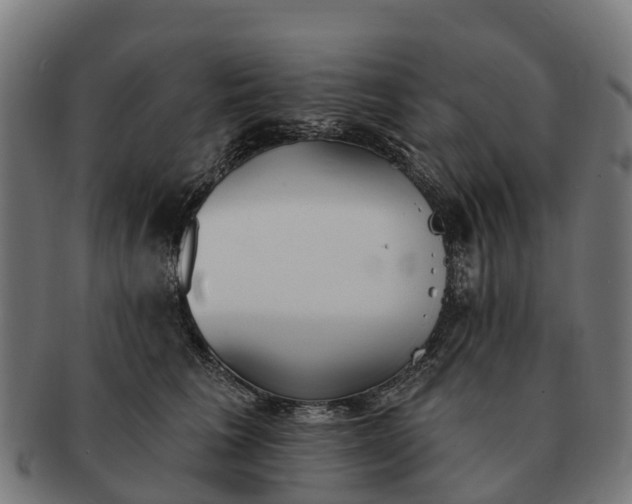 X0000091330613200708241202