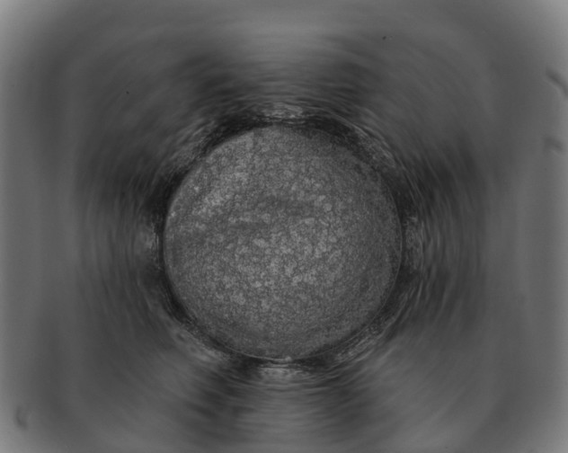 X0000091330614200708241202