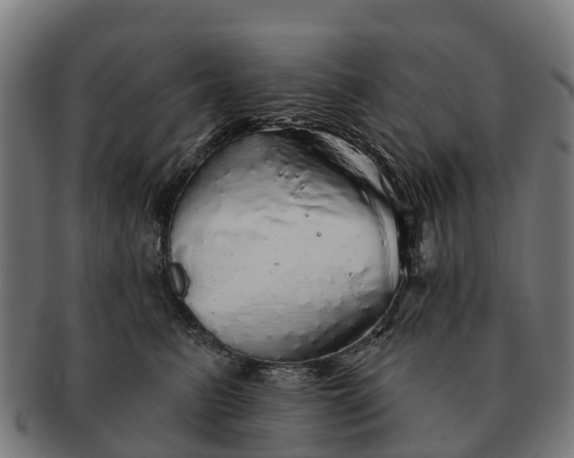 X0000091330615200708241202