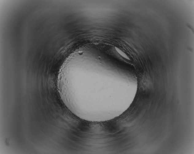 X0000091330616200708241202