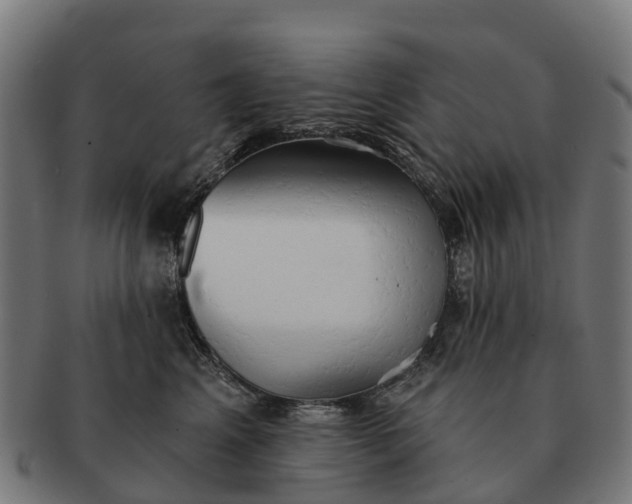 X0000091330617200708241202