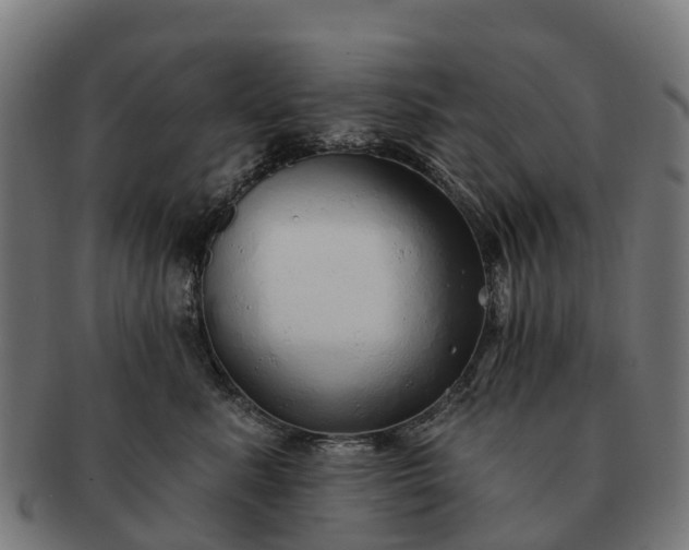 X0000091330619200708241202