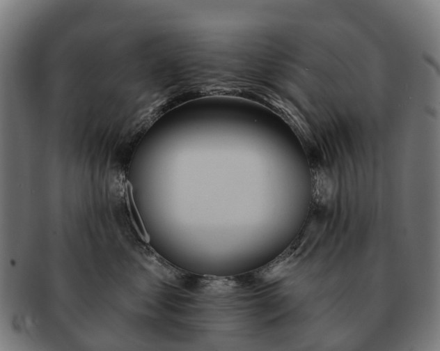 X0000091330621200708241202