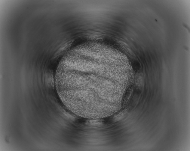 X0000091330622200708241202