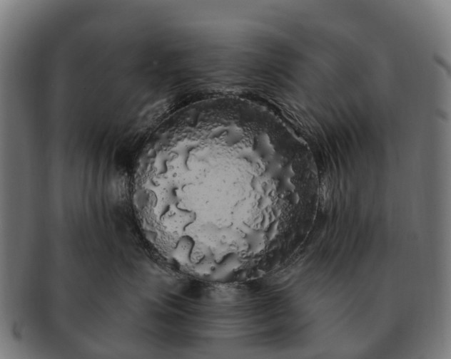 X0000091330623200708241202