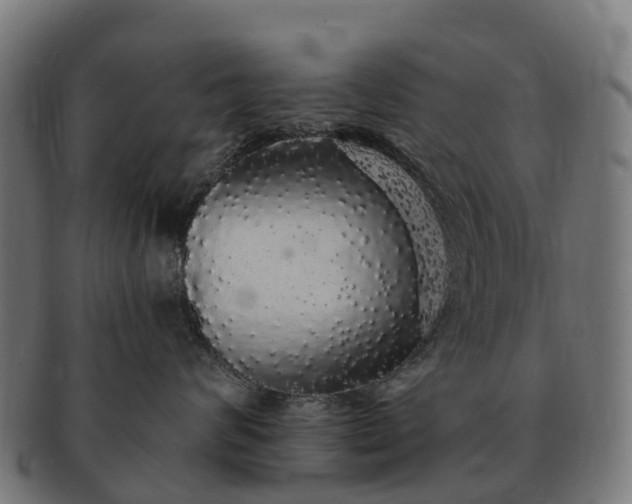 X0000091330624200708241202