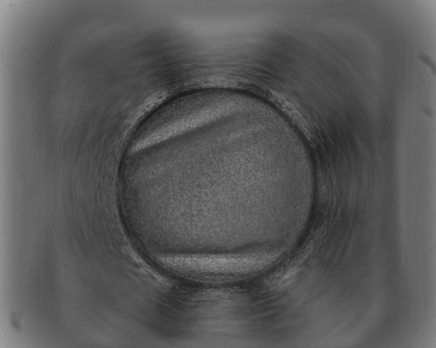 X0000091330625200708241201