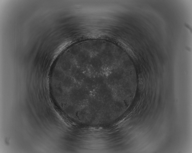 X0000091330626200708241201