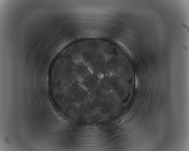 X0000091330627200708241201