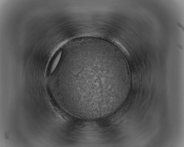 X0000091330628200708241201