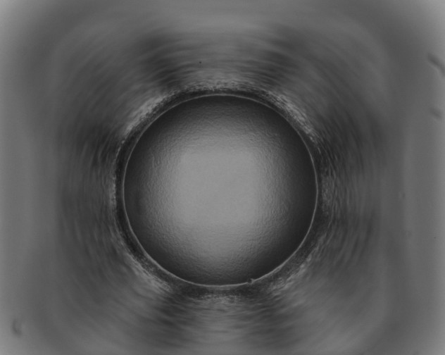 X0000091330629200708241201