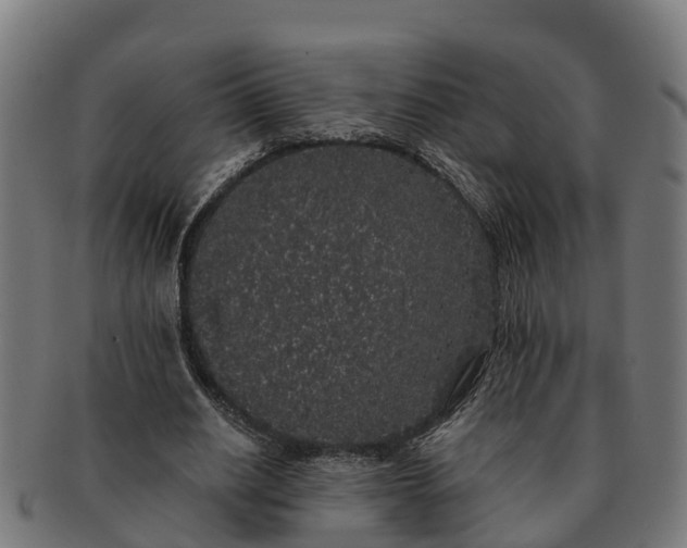 X0000091330630200708241201