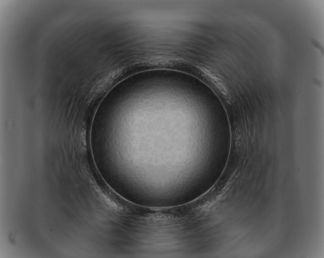 X0000091330633200708241201