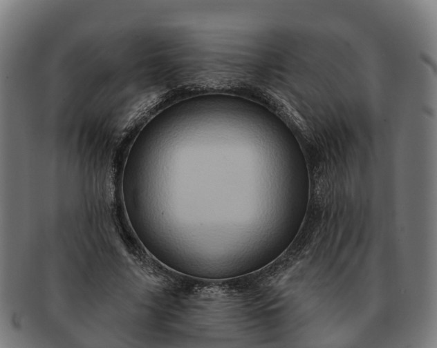 X0000091330635200708241201