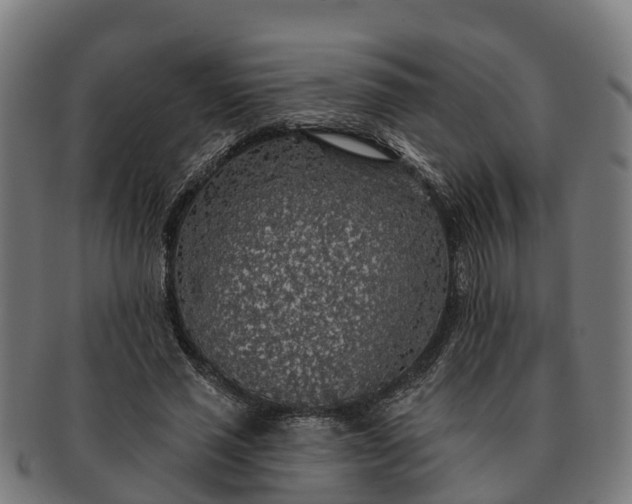 X0000091330637200708241201