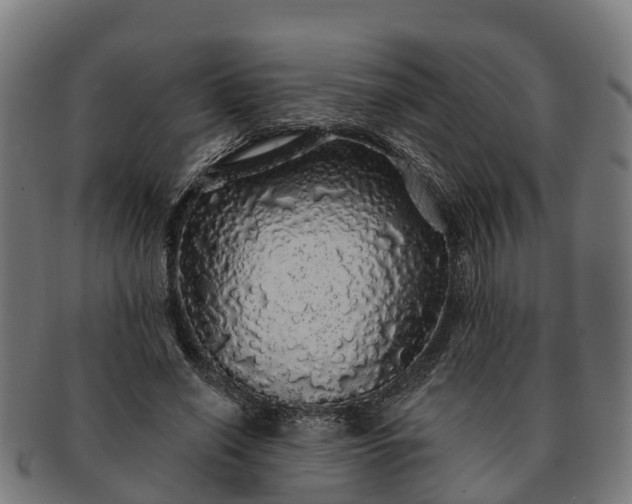 X0000091330638200708241201