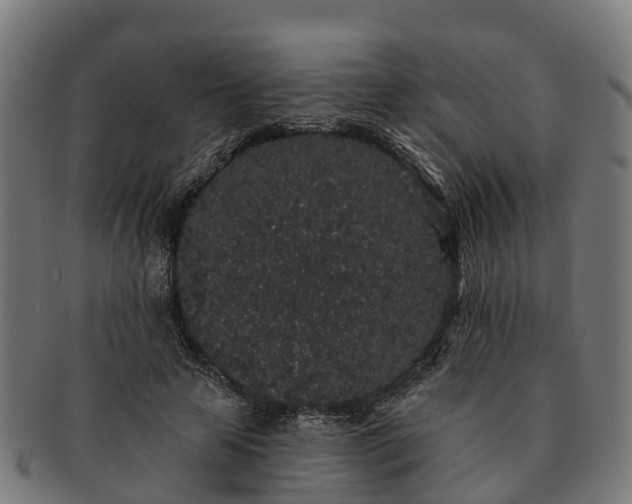 X0000091330641200708241201