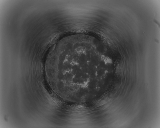 X0000091330643200708241201