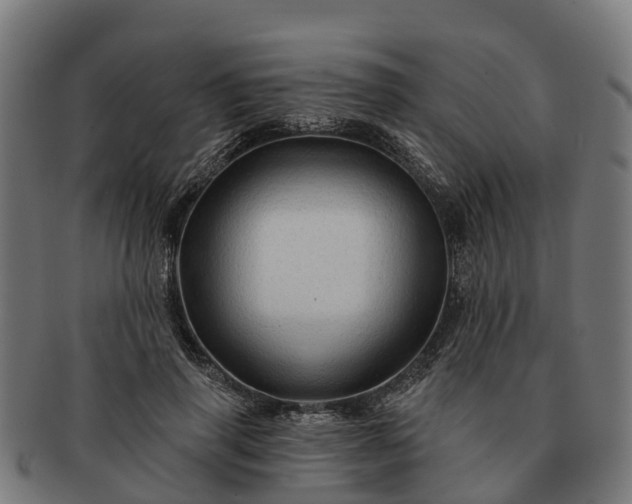 X0000091330645200708241201