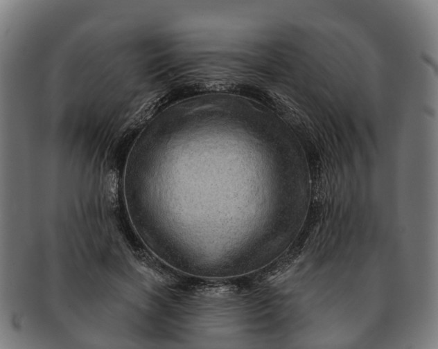 X0000091330646200708241201