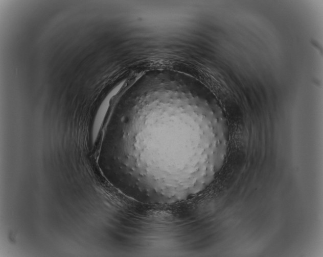 X0000091330649200708241201