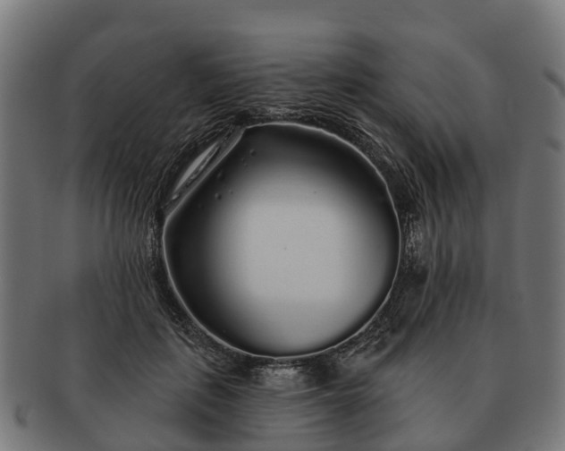 X0000091330651200708241202