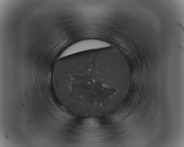 X0000091330652200708241202