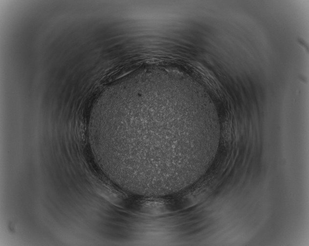 X0000091330653200708241202