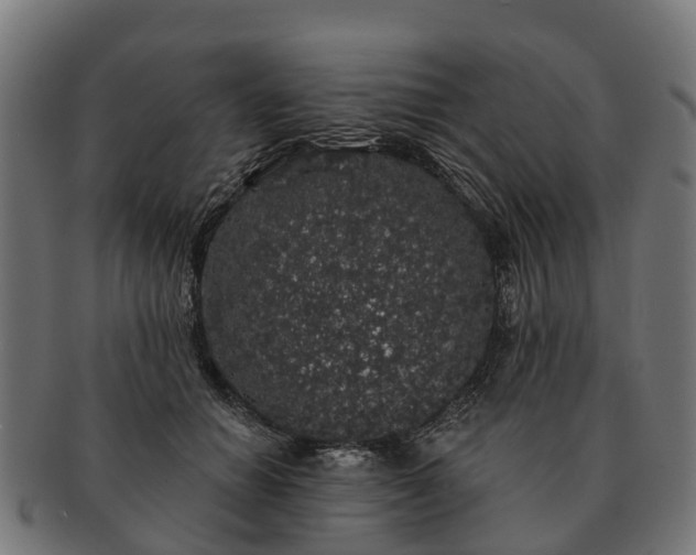 X0000091330654200708241202