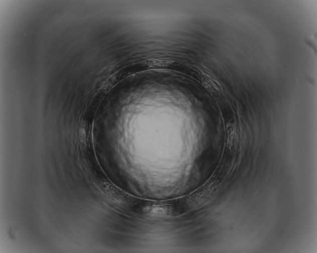 X0000091330655200708241202