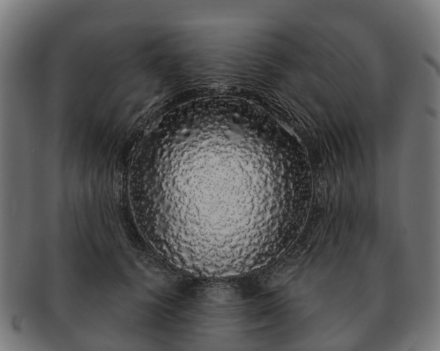 X0000091330656200708241202