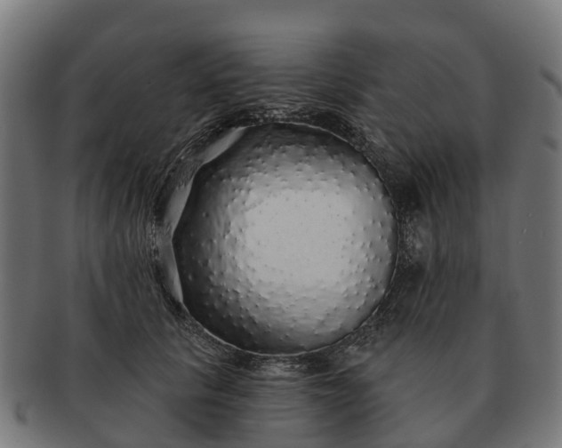 X0000091330657200708241202