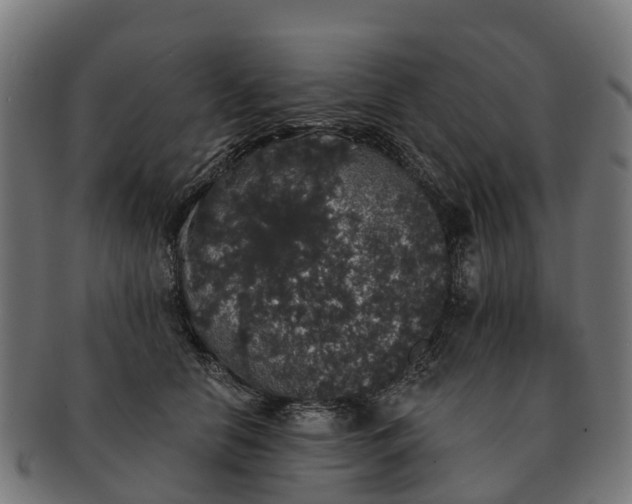 X0000091330658200708241202