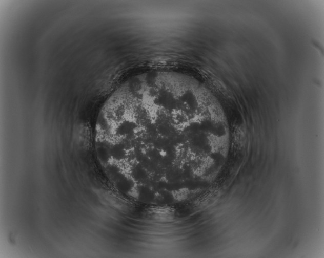 X0000091330659200708241202