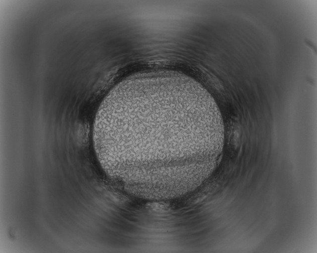 X0000091330660200708241202