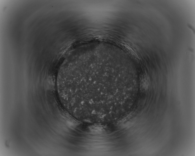 X0000091330661200708241202