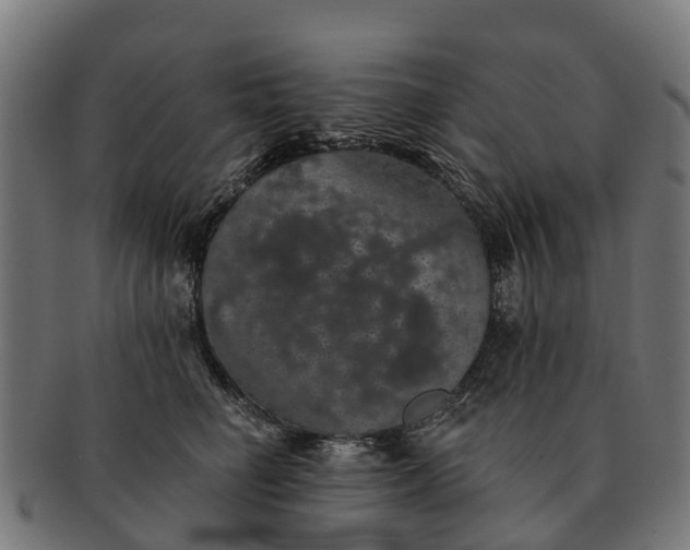 X0000091330662200708241202