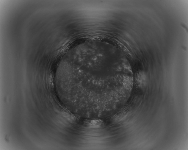 X0000091330663200708241202