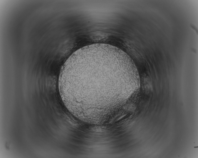 X0000091330664200708241202