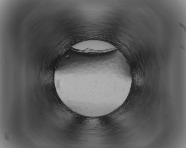 X0000091330665200708241202