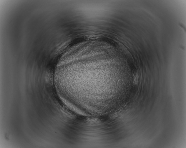 X0000091330666200708241202