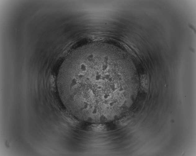 X0000091330667200708241202