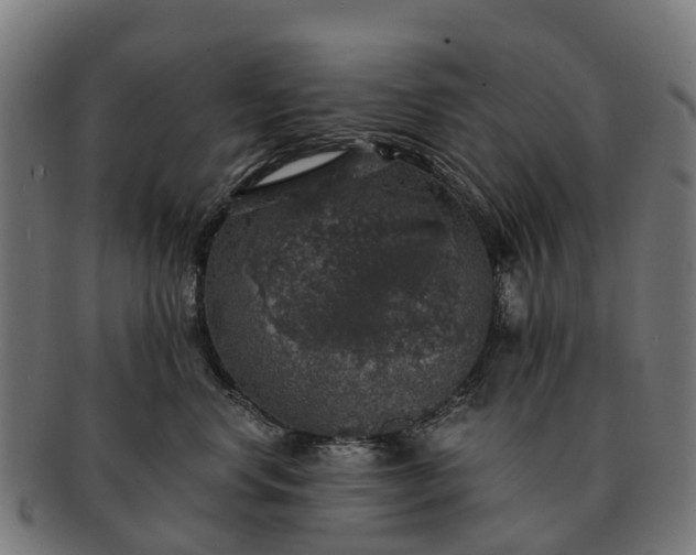 X0000091330668200708241202