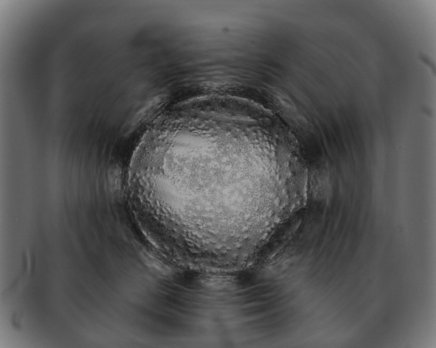 X0000091330670200708241202